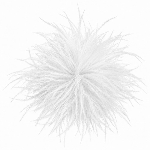 Ostrich feather brooch pin - ostrich,